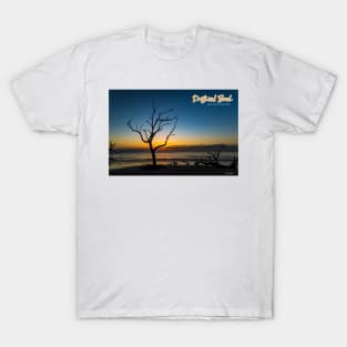 Driftwood Beach on Jekyll Island T-Shirt